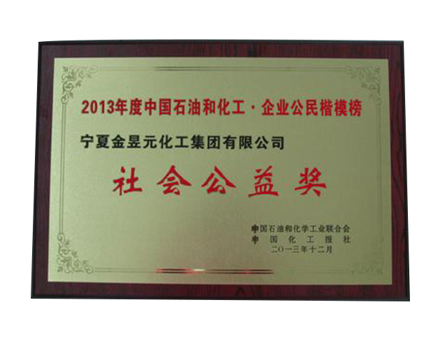 2013����й�ʯ����ṫ�潱